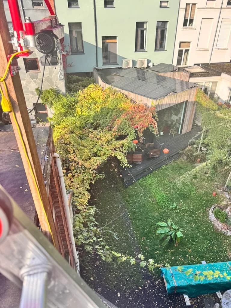Groen zicht vanop het dak van het toekomstige tuinatelier 